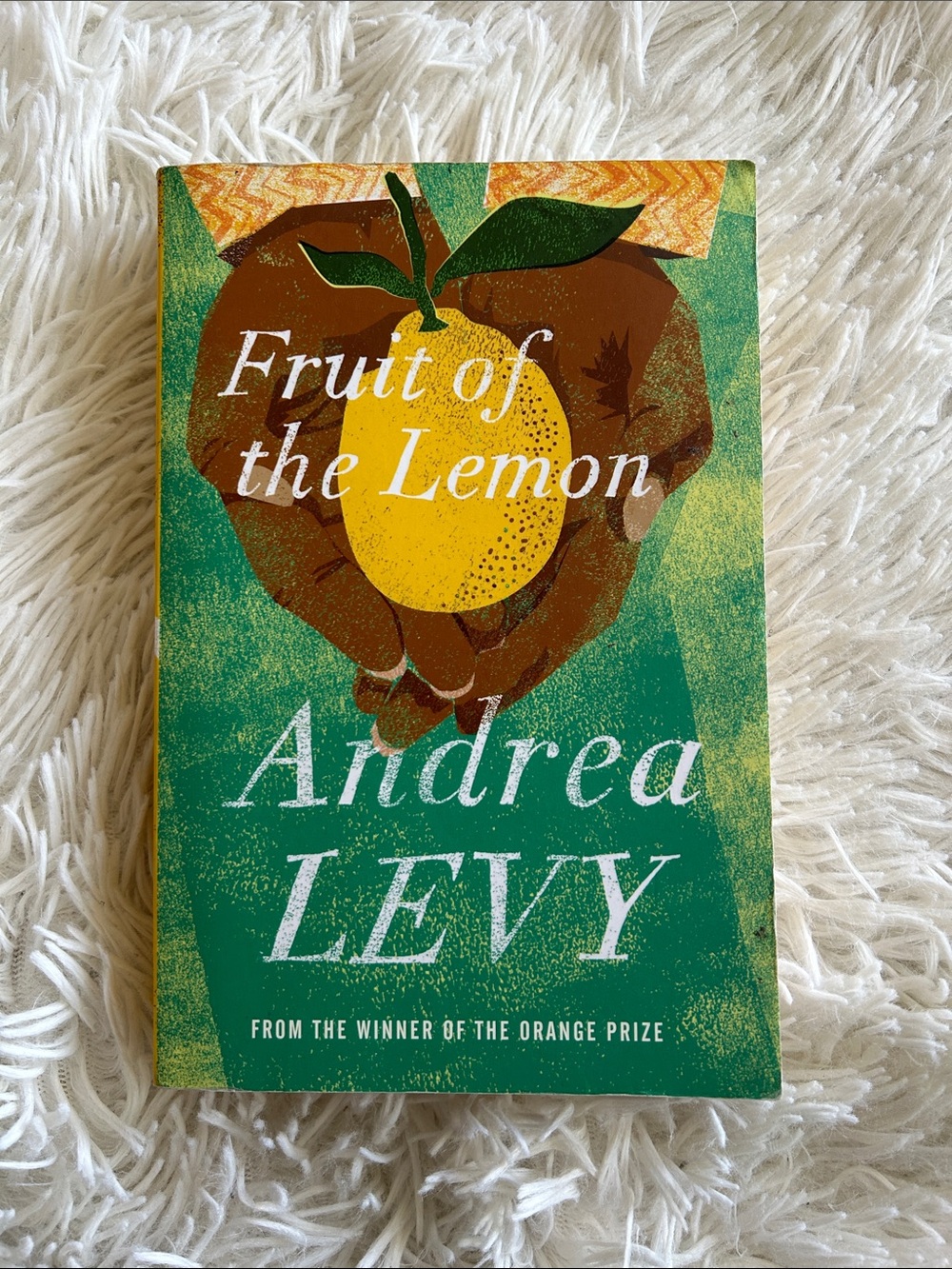 Fruit of the Lemon by Andrea Levy, novel Book - Green, Yellow, Brown